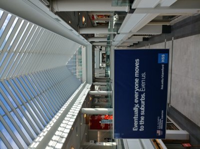20170125_110253_HDR.jpg