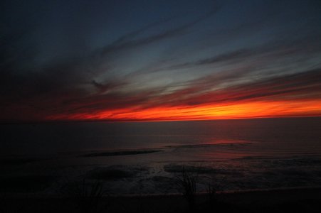 IMG_0163.jpg