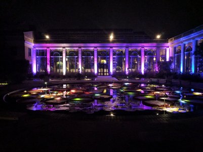 IMG_20161029_230309.jpg