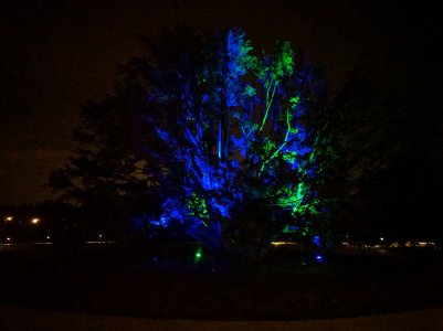 IMG_20161029_231449.jpg