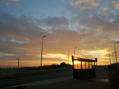 IMG_20170125_163053.jpg