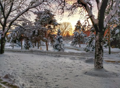 ac-photo-contest-cold-winner-2.jpg