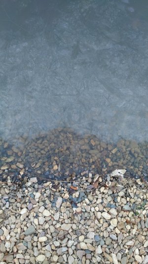 IMG_20161216_0845574.jpg