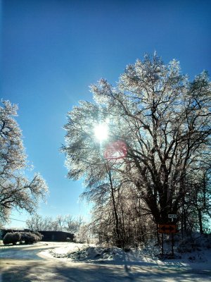 Beautiful, Icy, Danger.jpg
