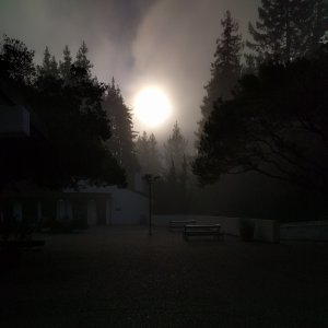 Foggy Morning.jpg