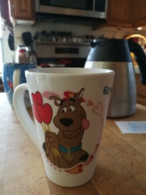 IMG_20170312_123037.jpg
