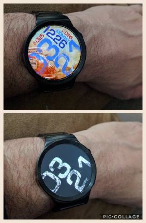 2969.jpg