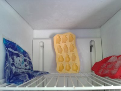 The North Pole In My House.jpg