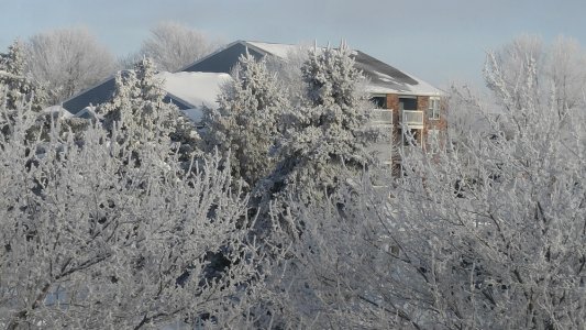 Frosty.jpg