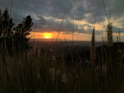 IMG_20170101_164909.jpg