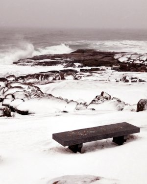 IMG_20170118_York_Maine_Winter.jpg
