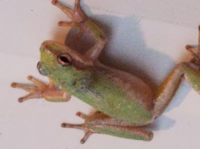 20170103_080009.jpg