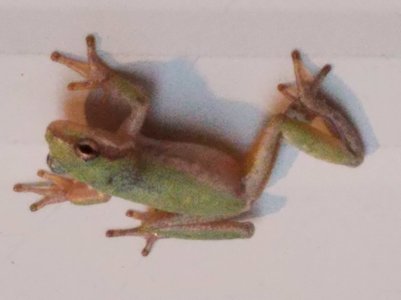20170103_080028.jpg