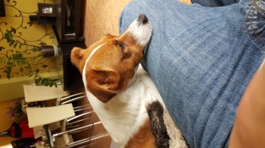 20170315_090737.jpg