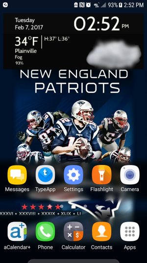 Super_Bowl_LI_Champs.jpg