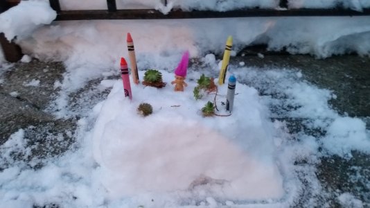 20150202_171455.jpg