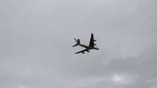 84468.jpg