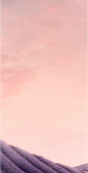 17 - 1.jpg