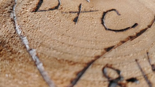 wood-close.jpg