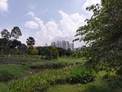 IMAG0028.jpg