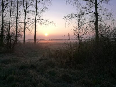 IMG_20170404_073638.jpg