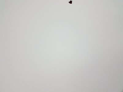 20170226_003116.jpg