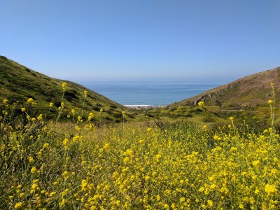 IMG_20170402_102901.jpg