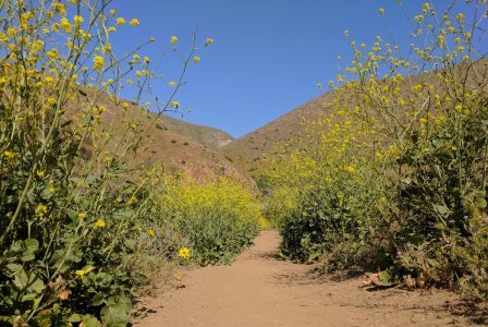 IMG_20170402_105907.jpg