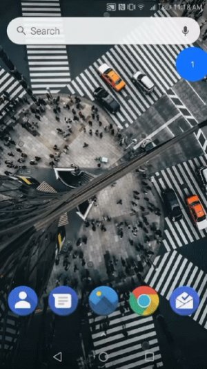 evie-homescreen-search.jpg
