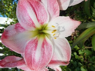 20170421_163814.jpg