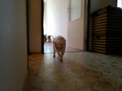 IMG_20170224_124146.jpg