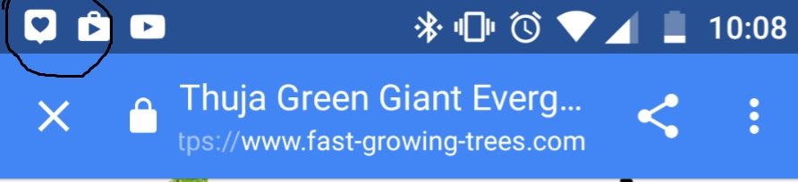 notification.jpg