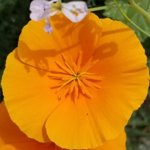 20170422_123302.jpg