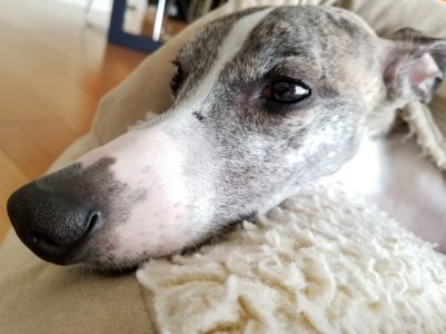 2017-04-23 12.47.03.jpg