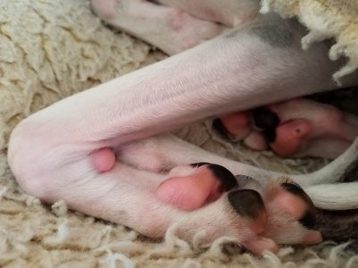 2017-04-23 12.46.29.jpg