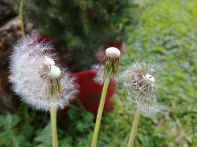 20170404_124722.jpg