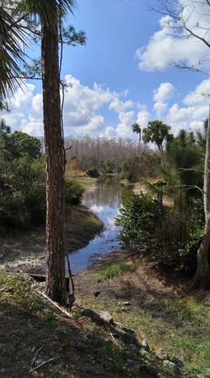 20170205_121451_HDR1.jpg