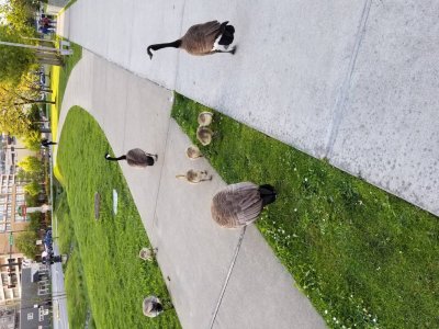 20170422_191548.jpg