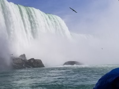 20170422_153614.jpg