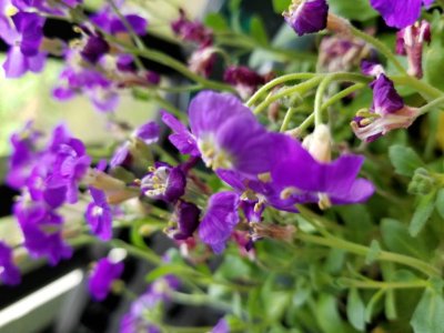 20170424_103518.jpg