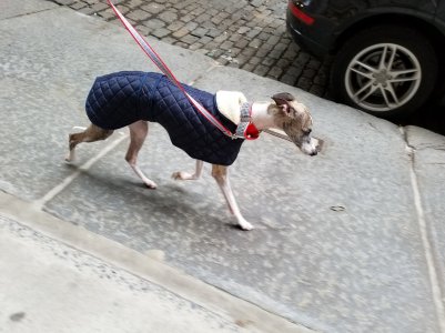 2017-04-24 16.07.31-3.jpg