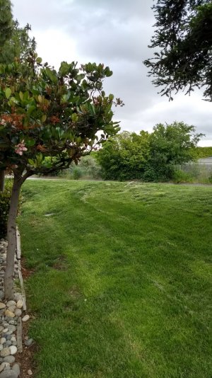 IMG_20170424_165858853_HDR.jpg