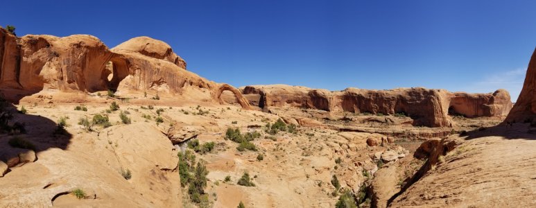 20170421_154227.jpg