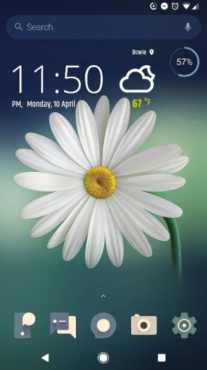 418.jpg