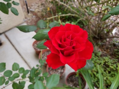 20170425_100149.jpg