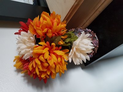 20170411_165926.jpg