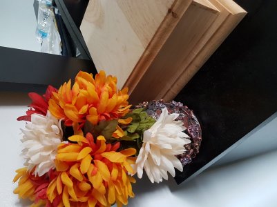 20170411_165931.jpg