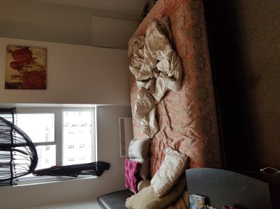 20170411_170402.jpg