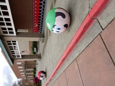 20170425_161321.jpg