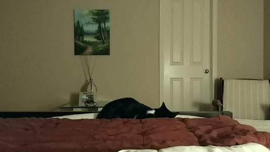 2017-04-10_23-01-47_Night.jpg